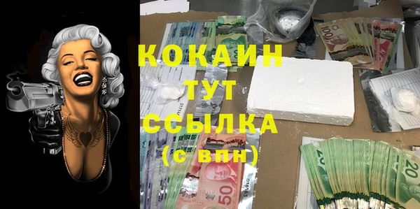 индика Абдулино