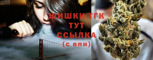дмт Аша