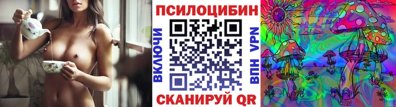 дарнет шоп  Бежецк  Галлюциногенные грибы ЛСД 